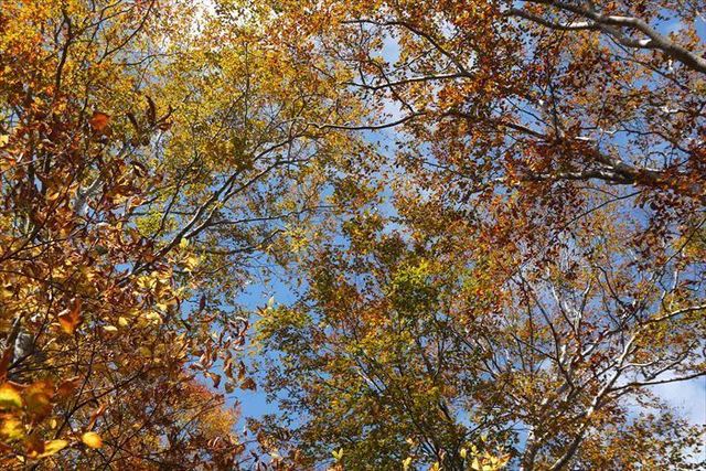 221020_100356_R.JPG