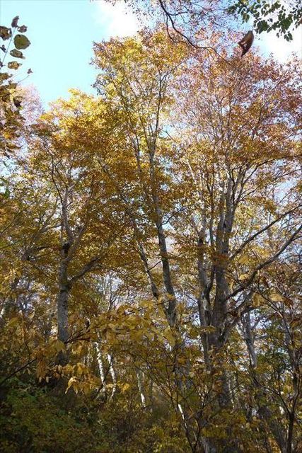 221020_103125_R.JPG