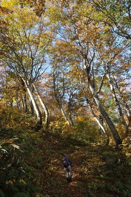 221020_103329_R.JPG