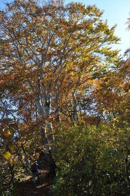 221020_110243_R.JPG